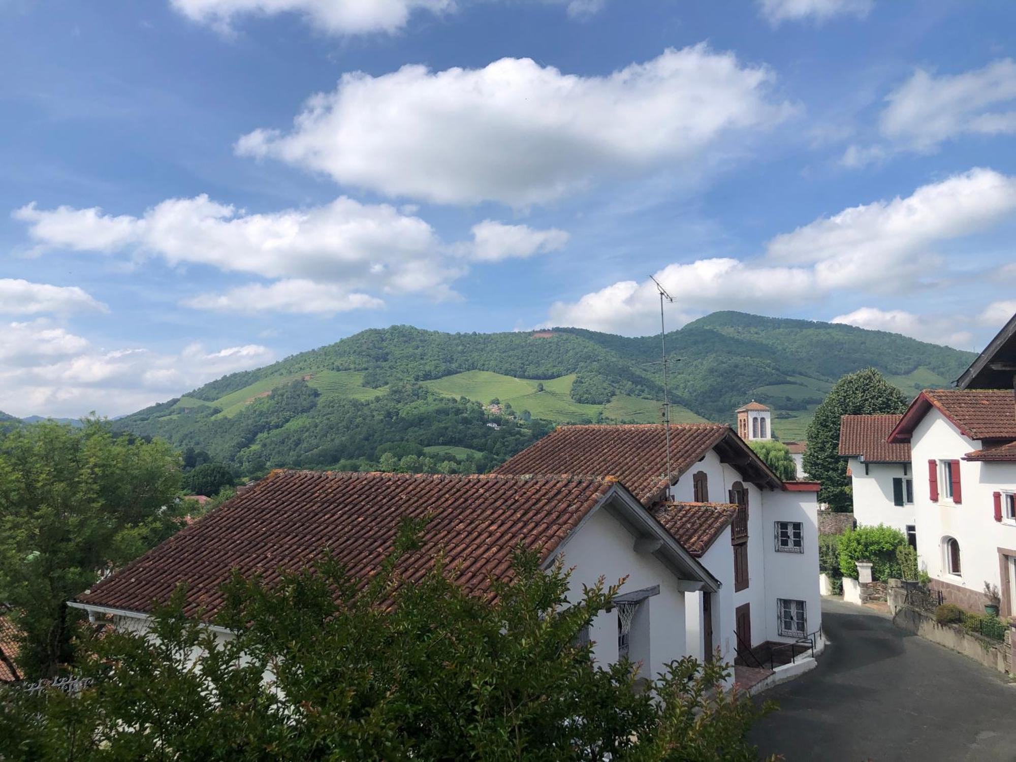 Maison D'Hotes Larraldia Uhart-Cize Luaran gambar